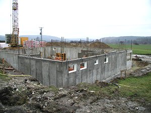 Der Keller wchst und wchst